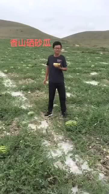 吃瓜的山
