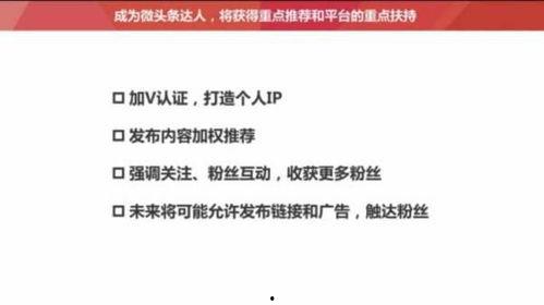 如何养活自己头条粉丝,轻松养活自己