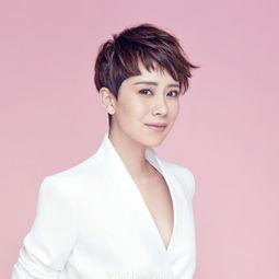 关于国民明星,闪耀舞台的璀璨之星