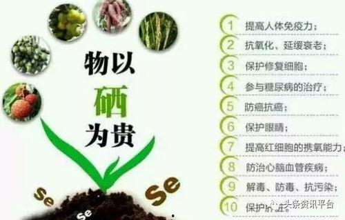 硒头条,揭秘硒元素在健康领域的神奇作用