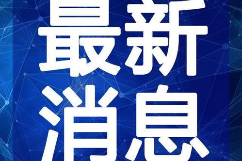周禄宝最新新闻爆料视频,揭秘事件背后惊人真相