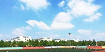 网红进大学,大学生网红崛起之路