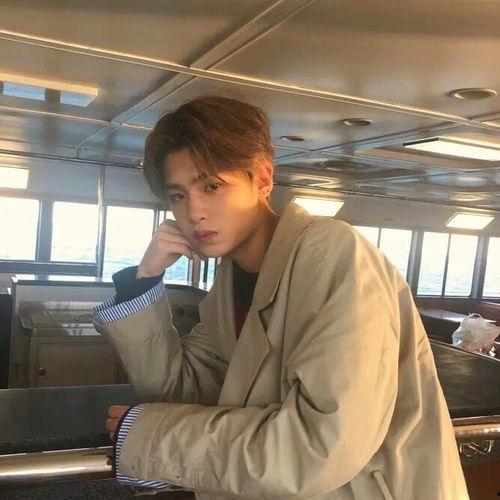 明星看书壁纸横屏,横屏壁纸下的书香世界