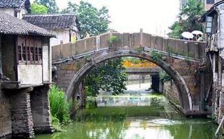 宝山市罗店区新闻头条,聚焦区域发展新动态，共绘美好未来蓝图