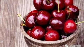 今日头条樱桃收购价,今日头条揭示最新收购价行情！”