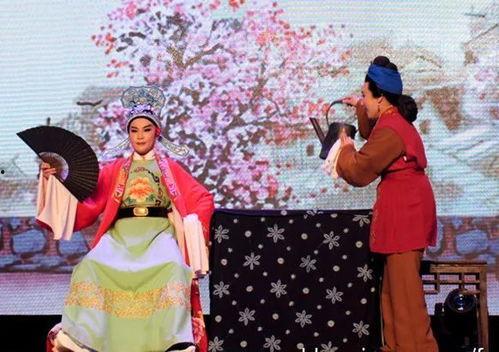 何文秀我是大明星复赛,我是大明星复赛精彩瞬间回顾