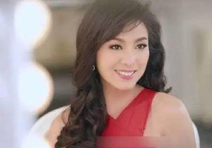 东莞市明星来,璀璨星河中的璀璨明珠