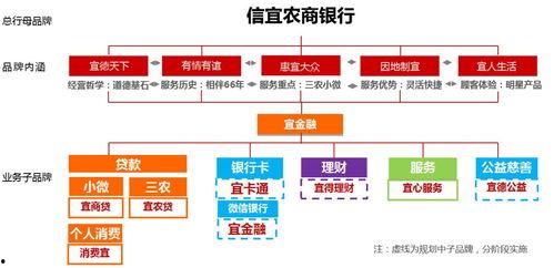 宜农贷明星,助力乡村振兴的金融先锋力量”
