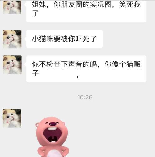 吃瓜微信聊天免费,免费获取资讯的微信新玩法