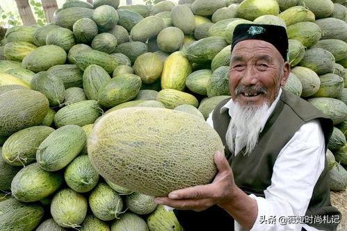 刘老师新疆哈密瓜,刘老师带你领略新疆哈密瓜的独特魅力