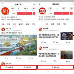 头条看电影的免费小程序,揭秘头条电影小程序的神奇魅力