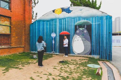 合肥龙猫网红打卡景点,网红打卡地的童话魅力之旅