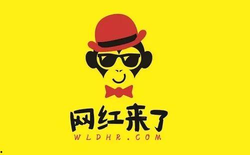 各种网红歌曲的歌名字