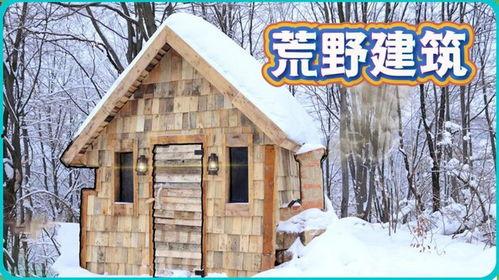 头条雪中小屋的图片,雪中小屋的静谧魅力”