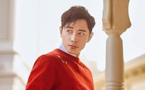 明星榜罗晋,星光璀璨的影视新星