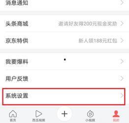 头条系流量怎么关闭,掌握个人隐私保护新技能