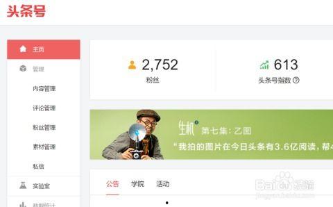 头条文章 推广方式,揭秘高效推广秘籍，轻松引爆流量新高峰！