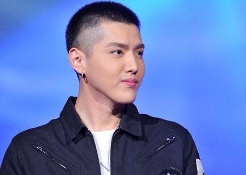 明星 鸟烦,明星与自然和谐共处的生态传奇