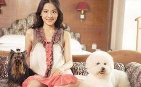 cj展明星,闪耀电竞舞台的璀璨星辰