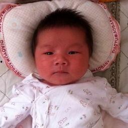 杨宝宝头条,揭秘明星背后的故事与成长历程