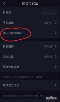 怎样去除头条的视频原声,打造个性化视听体验