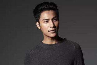 加入黑茶的明星,黑茶界的璀璨之星