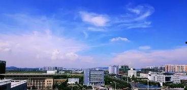 武汉汉南区新闻头条号,聚焦汉南区最新动态与热点事件