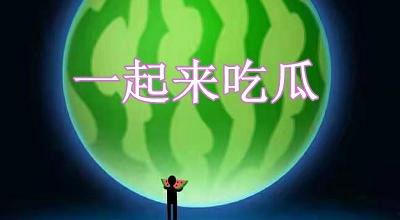 一起来吃瓜游戏正版,揭秘正版游戏背后的趣味与挑战